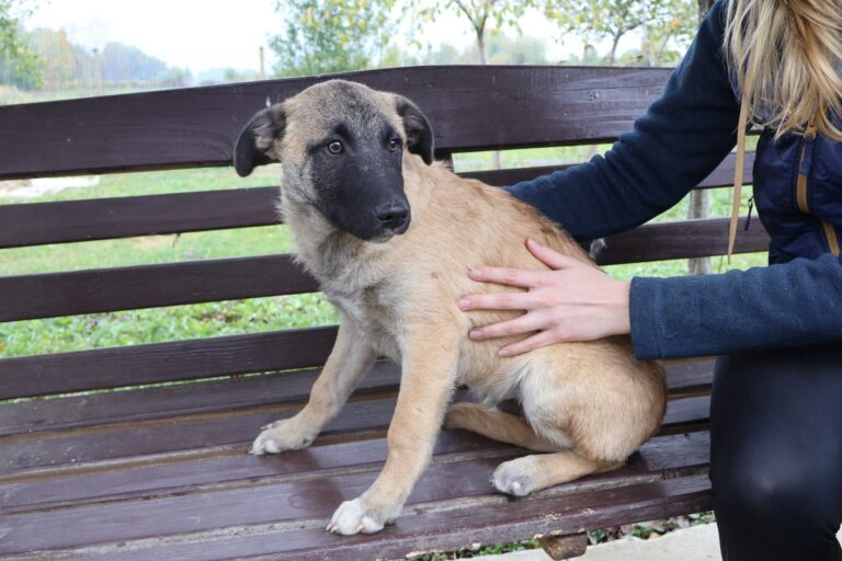 567132653_1158022569620558_4520823857524679970_n