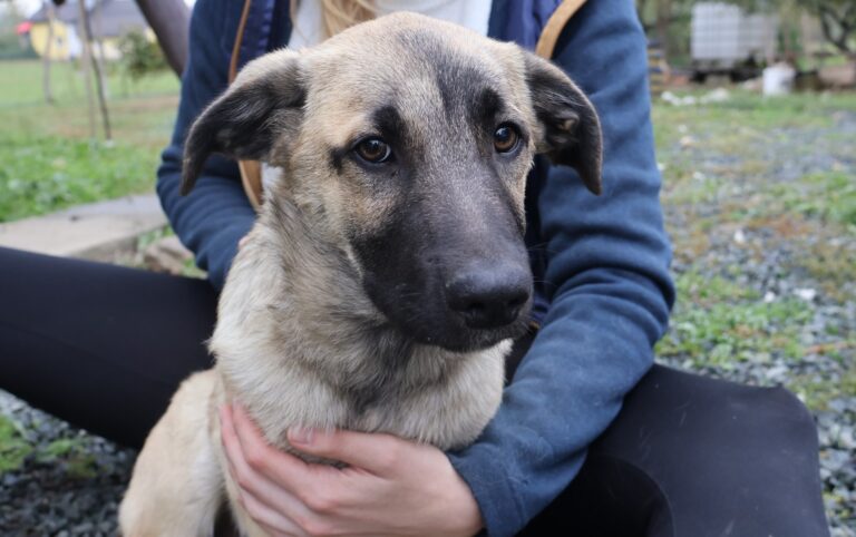 567157177_1158027909620024_6601127841902546400_n