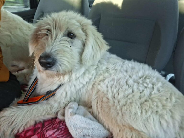 567500636_1910133603045544_7370821493853050899_n