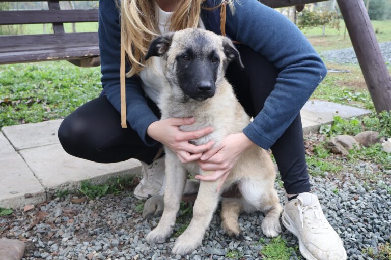 567957229_1158029299619885_2748316722195023070_n