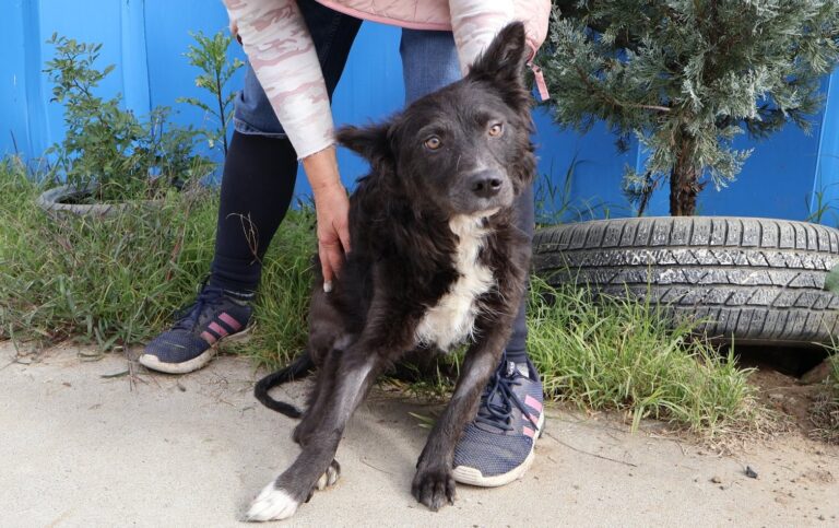 568250103_1157850206304461_6554229220376666044_n