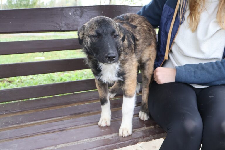 568375742_1158026396286842_1467345159502726957_n