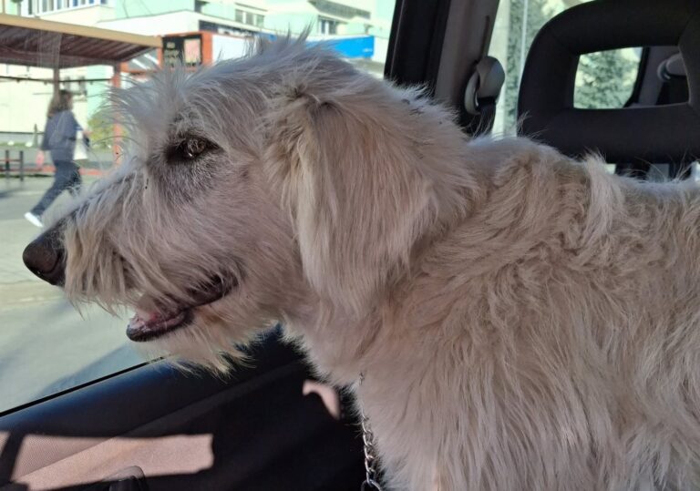 576093474_122151178634712445_3216603292660729361_n