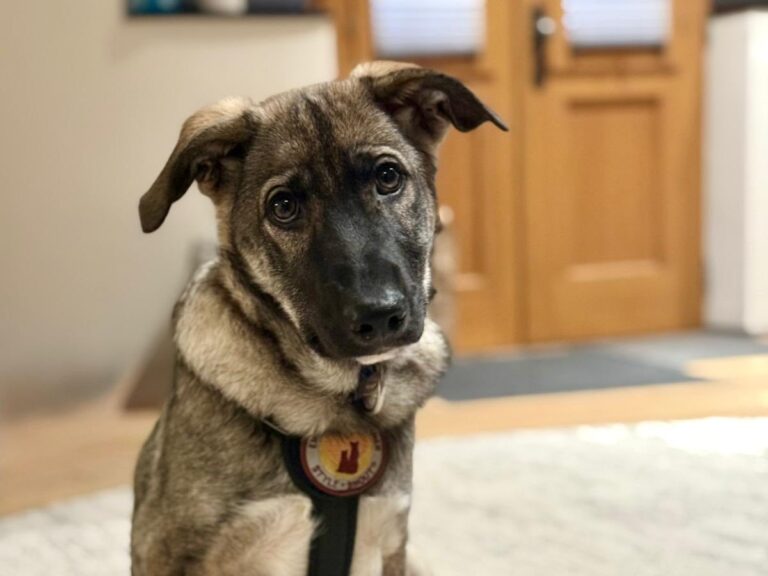 577815568_24947499391575542_2831381418733025875_n