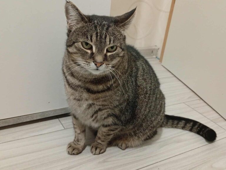 614132766_774023481698276_3243341074651642774_n