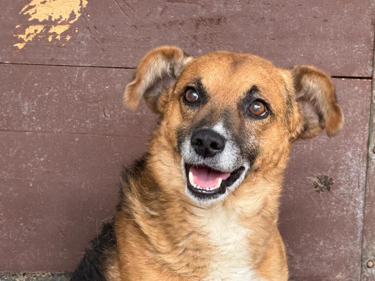 989db5c7-47e8-40aa-bb5d-247dcdf2638e