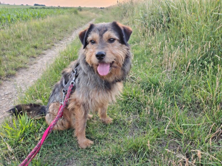 9ecd8694-dfcf-4dc1-9108-f9b384fa6db1