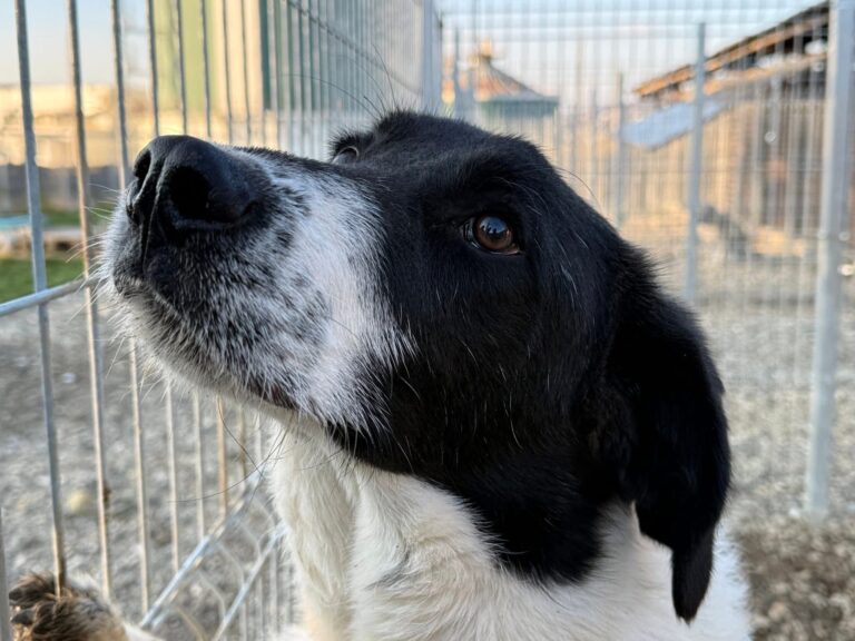 CBB6A36B-132E-4556-A6F0-DEE10C37F821