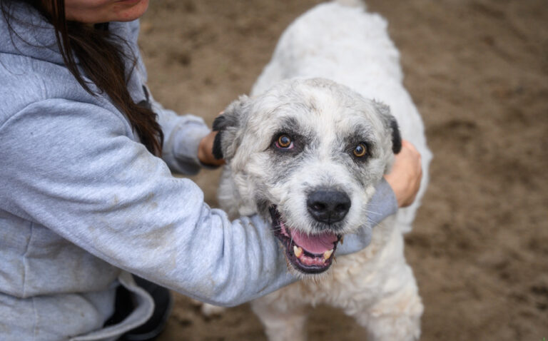 EHFS_DSC_0769_Viggo_900x560