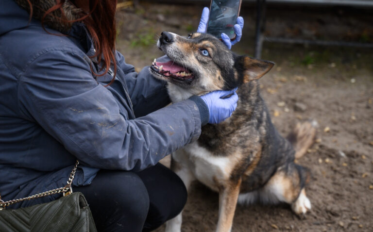 EHFS_DSC_1190_Blue_900x560