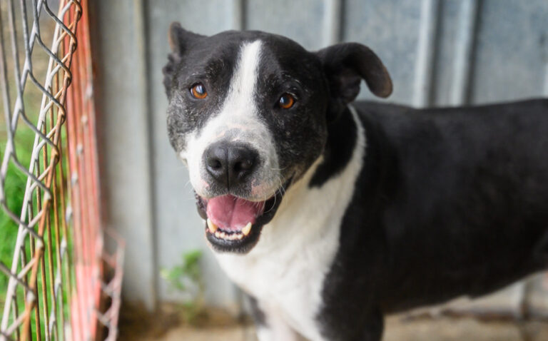EHFS_DSC_3602_Spillo_900x560 (1)