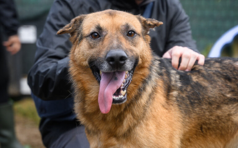 EHFS_DSC_8791_Atax_900x560-2