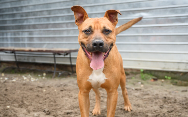 EHFS_DSC_9441_Springsteen_900x560-2