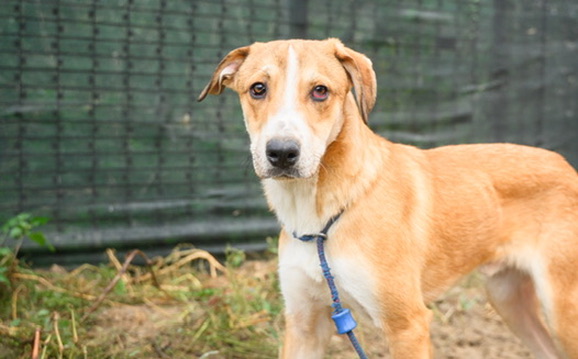 F4581D6F-C48C-4052-9B40-2F0EDAC075A7_4_5005_c