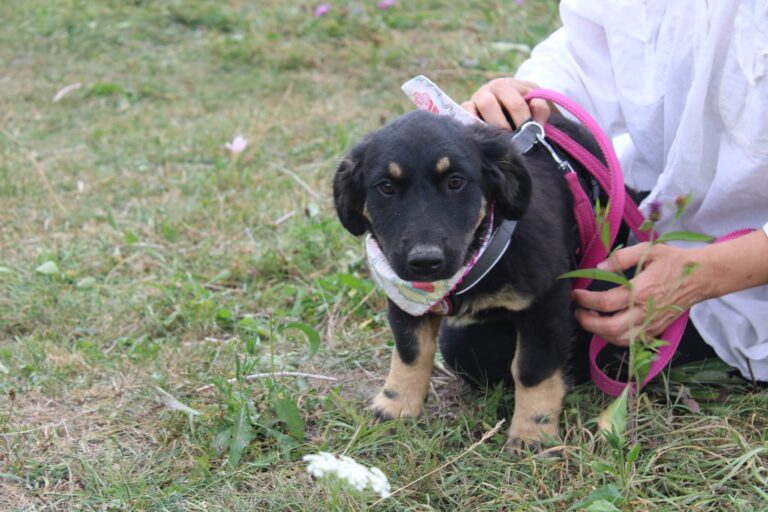 FB_IMG_1757097038464