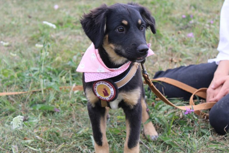 FB_IMG_1757335181350