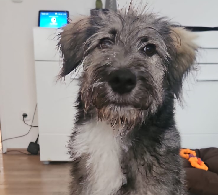 IMG-20250922-WA0055(2)