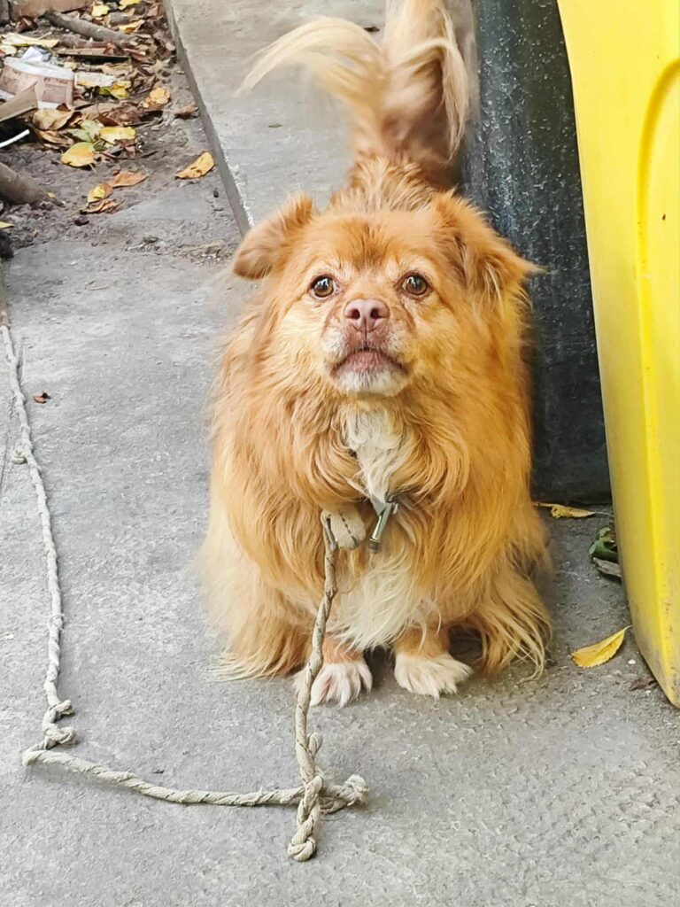 Messenger_creation_A360BA63-5F7B-45E0-96E1-D17EB621BC4B