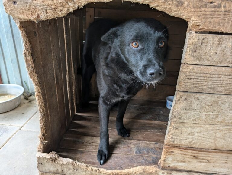 PXL_20251010_124005876