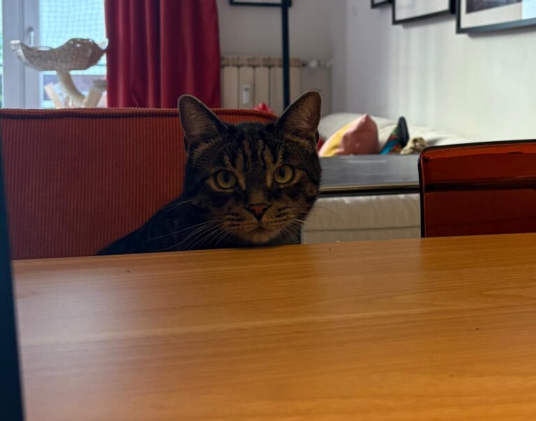 WhatsApp Image 2025-09-05 at 09.08