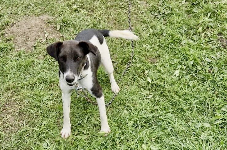 b2626d94-73f3-4861-8636-e3e2a01e90eb (2)