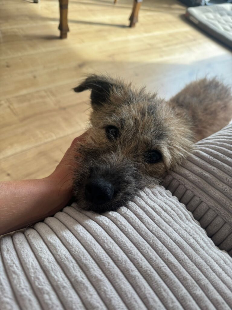 baa75194-015b-4a6a-81d9-39d2ec8a0ce6