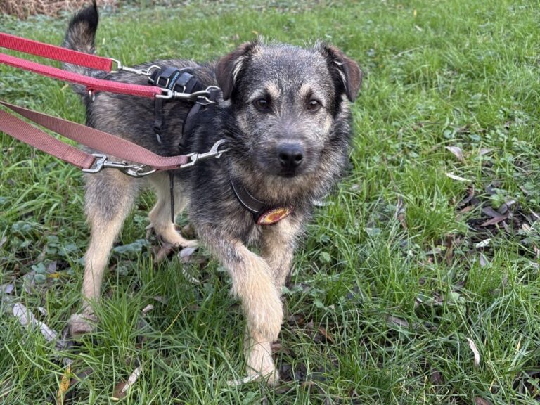 e4439e36-75ab-4d4d-9d69-651edb2f86e4