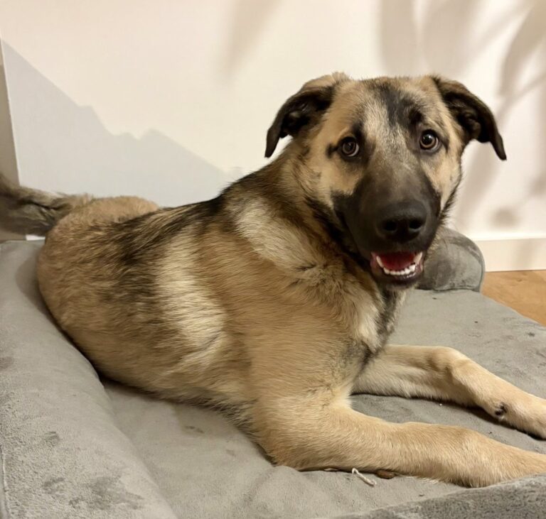 03784FC6-1657-4DB6-9E74-D6D3DA463FEF