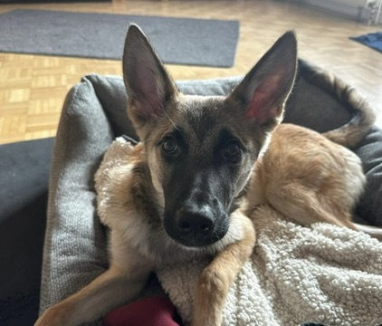 0CB33668-A6B5-4D0D-81F8-A1C417E5F42C_4_5005_c