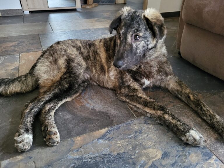 1A9A8FF5-DCA5-4364-A0A3-D064427F8BFA_1_105_c