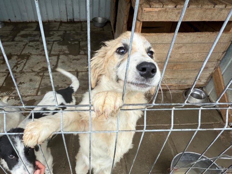 1a66e06c-bf99-428e-991e-b171e211559c