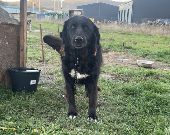 217204f7-f332-4f18-be6b-8fa41f59b12a