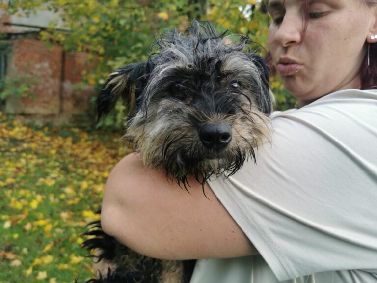 48badfc3-6500-4b26-a66e-5a64652d3beb