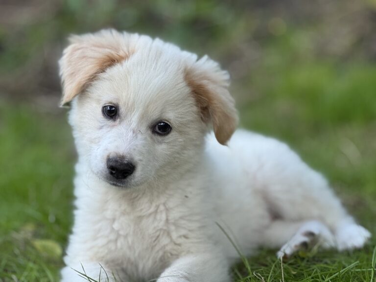 5068DF7C-60D4-41F2-A6CC-6B8528FD186E_1_105_c