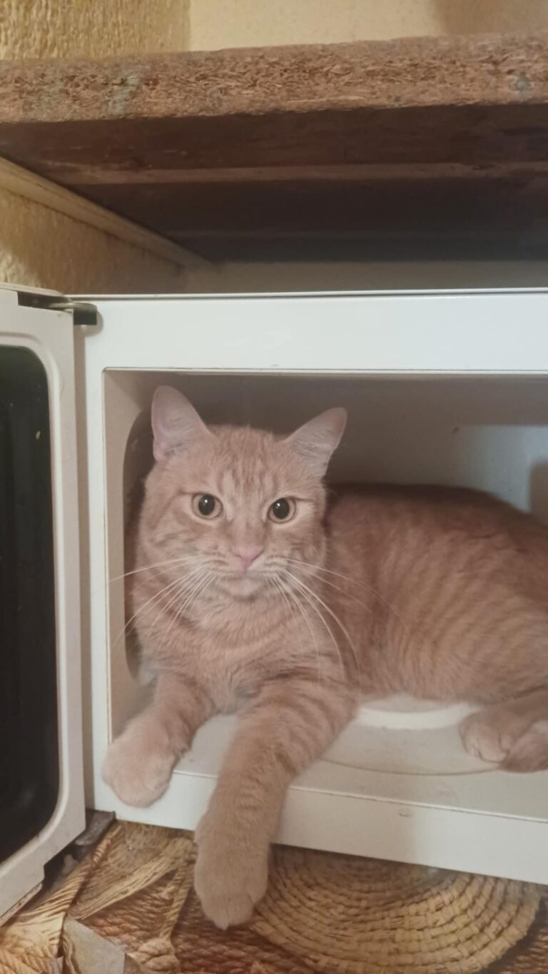 545590644_4062116010767293_3450620270210566357_n