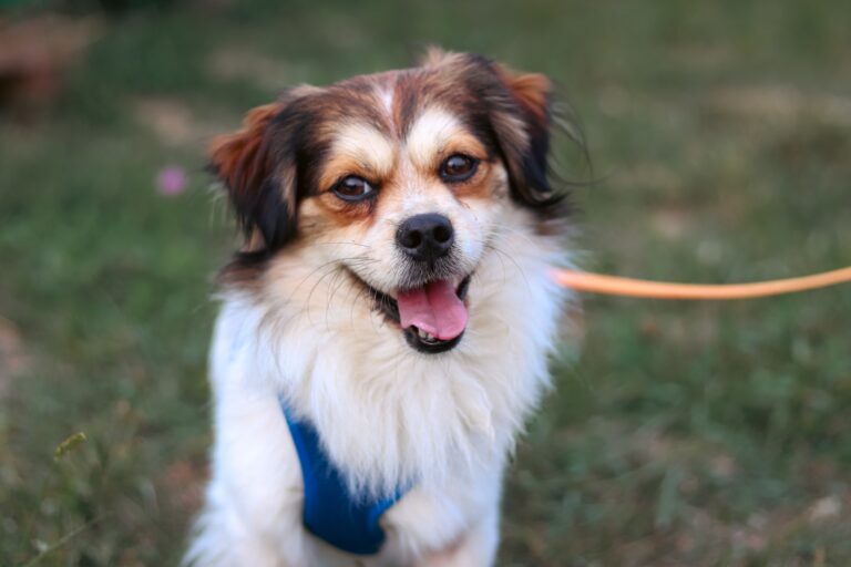 547245994_3102108279967287_1816293550936069429_n