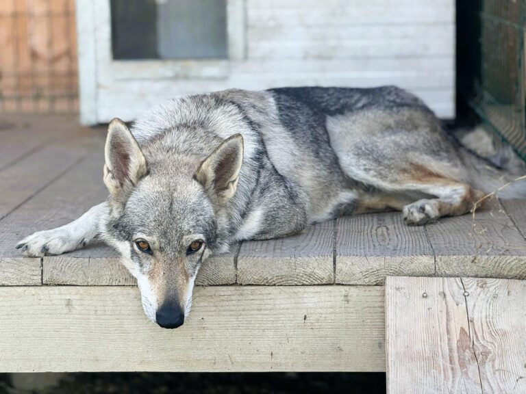 554195932_10161089121647581_1229786697166287001_n