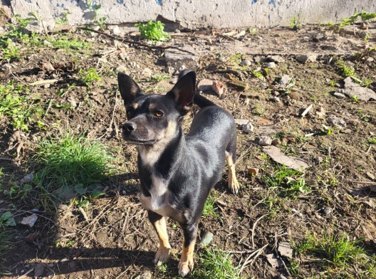 554495214_10076451499123474_6149497099770585703_n