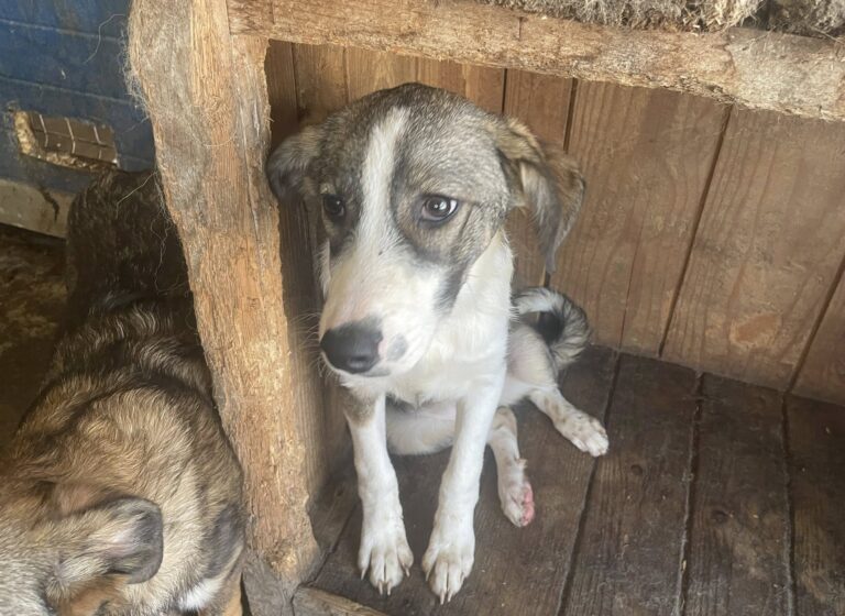 555350942_4121602611448973_7421922591507712728_n