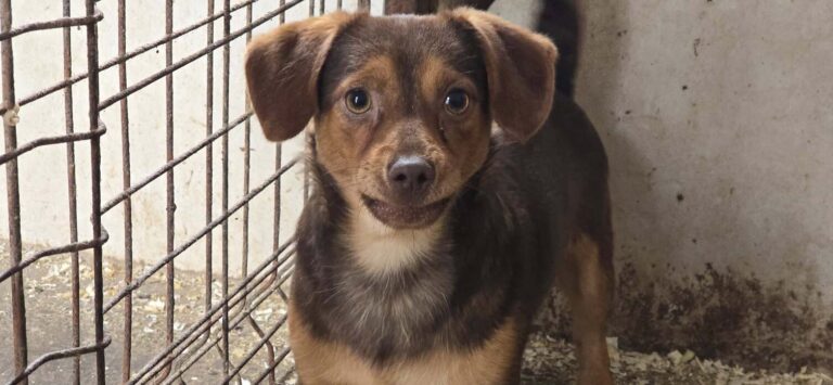 555461974_3267058460123107_4363217112771979904_n