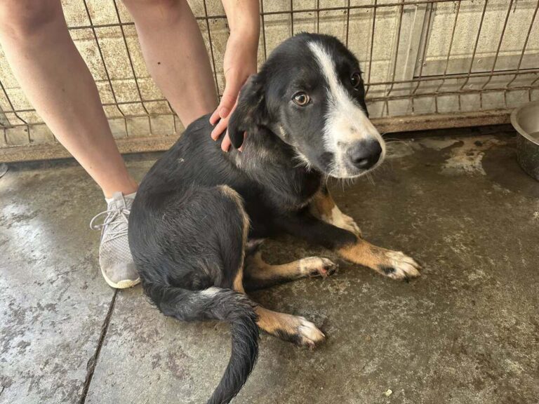 555682642_24536579169325460_8155984544601474142_n