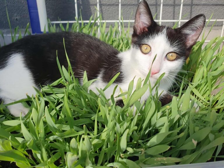 556138927_25242487498691676_4146323265905627946_n