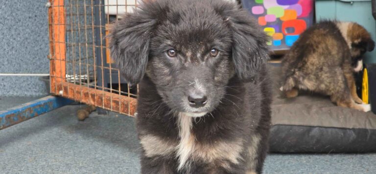 556164622_3270405456455074_6909465691836743449_n_1_11zon