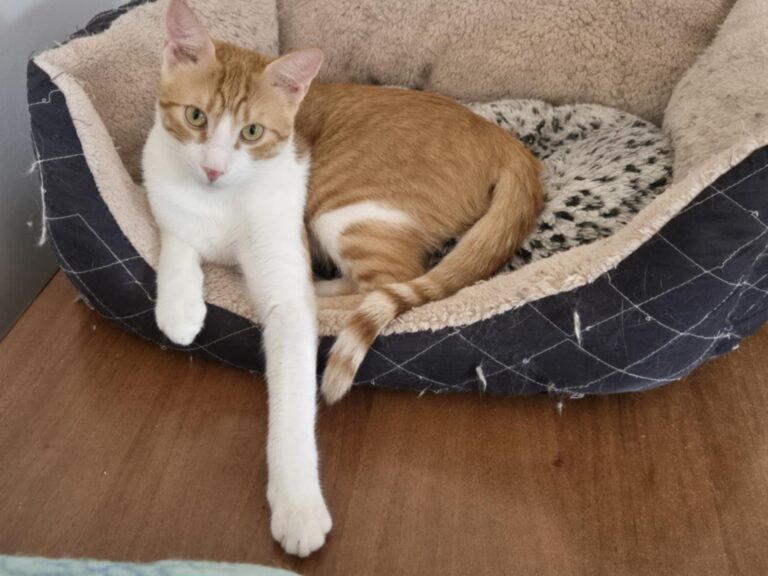 556414506_25253228984284194_6730725635096458893_n