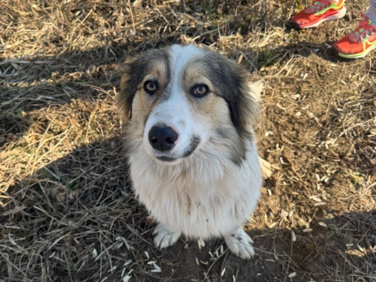 557601595_24930015499970316_9220315073213352607_n