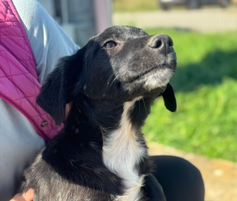 557634428_24929924173312782_2588809454176379890_n