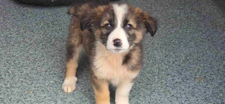 557639690_3270403649788588_7273757610494331723_n_6_11zon