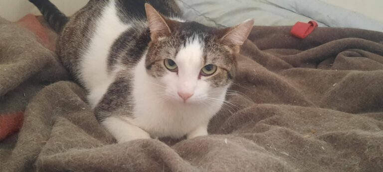 557697880_24613257304993337_8270980620274090687_n