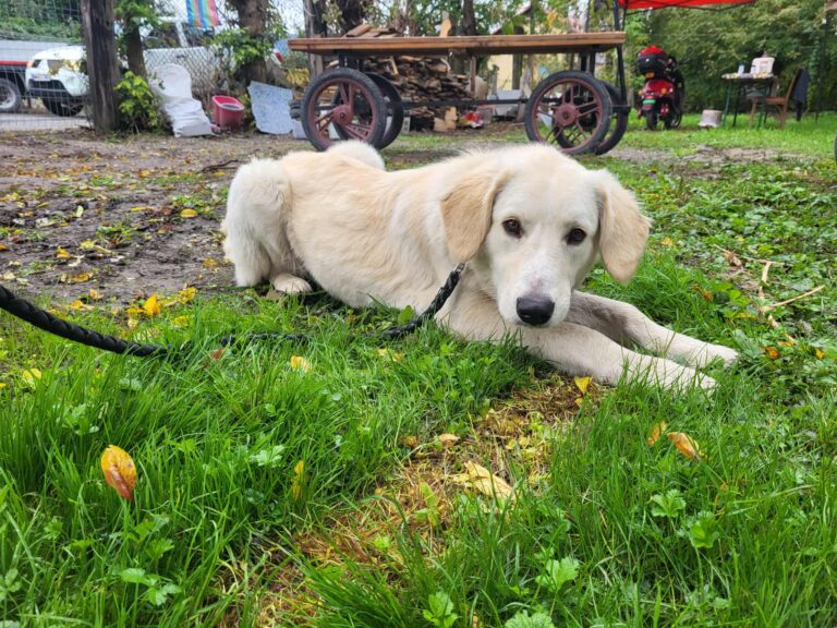 557744737_23892026313806092_9019166798524808896_n