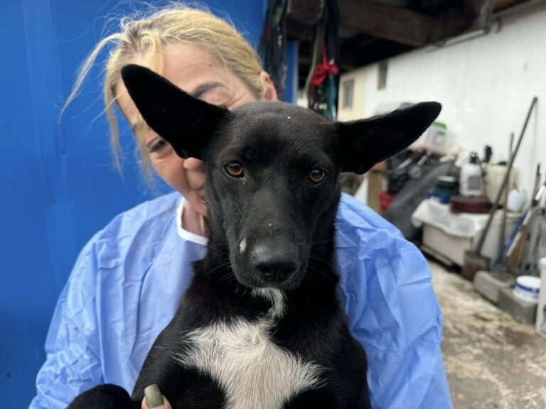 557999806_1148995673856581_6205445967629433055_n